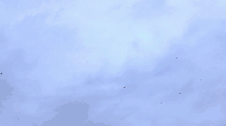 0 (5).gif